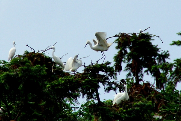 DSC08614_副本.jpg