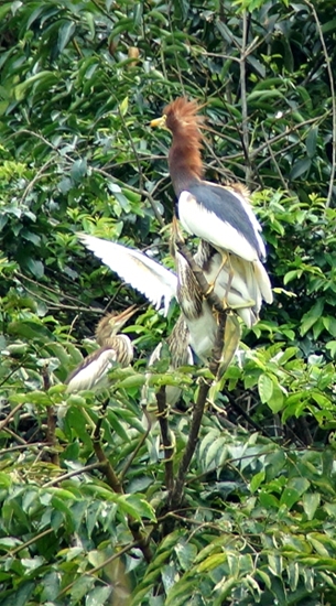 DSC08656_副本.jpg