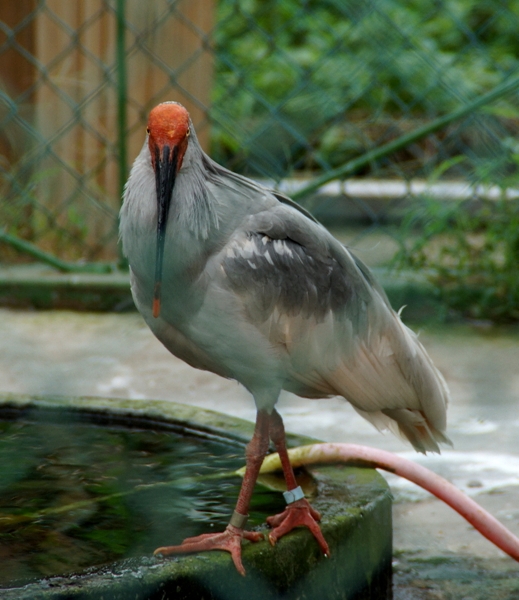 DSC08706_副本.jpg