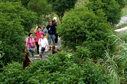 DSC08880_副本.jpg