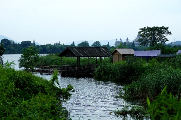 DSC08907_副本.jpg