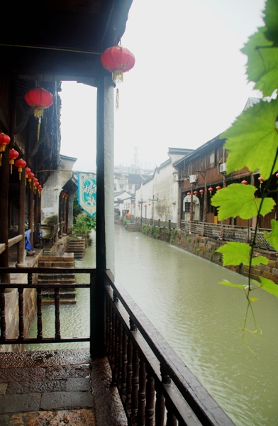 DSC09321_副本.jpg