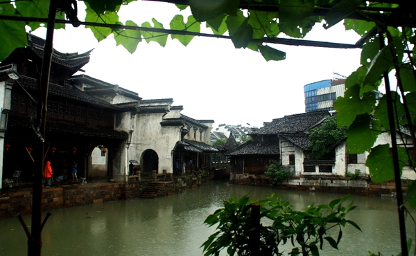 DSC09393_副本.jpg