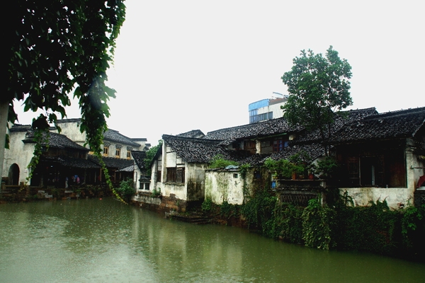 DSC09396_副本.jpg