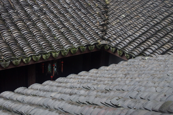 DSC09610_副本.jpg