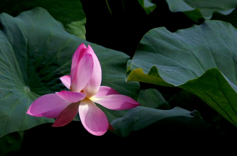 DSC00224_副本_副本.jpg