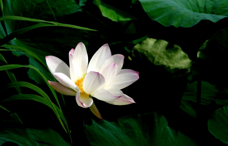 DSC00225_副本.jpg