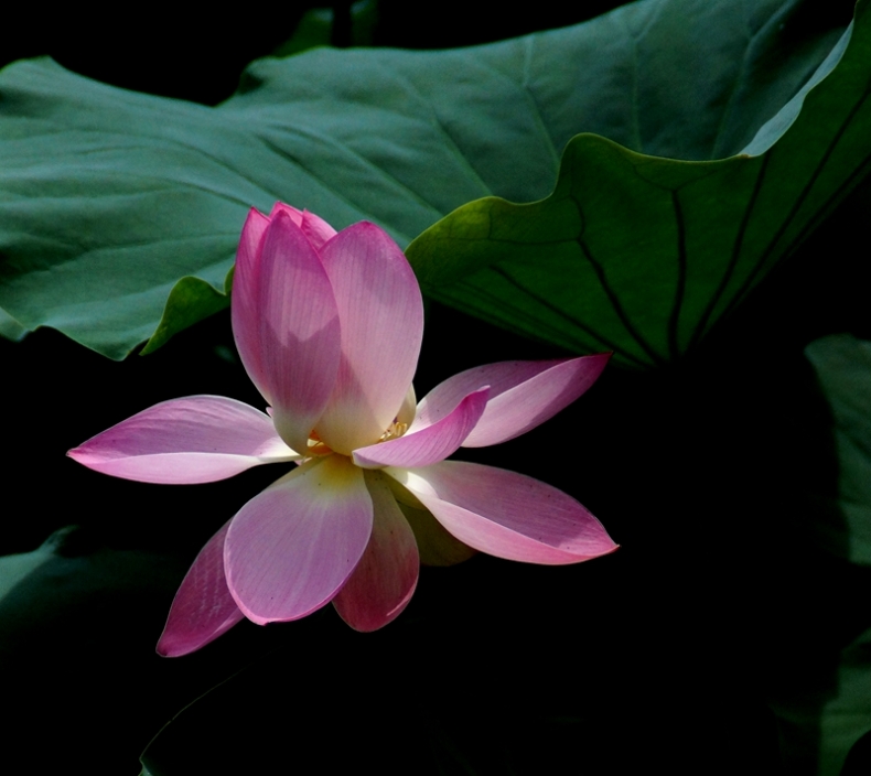 DSC00228_副本.jpg