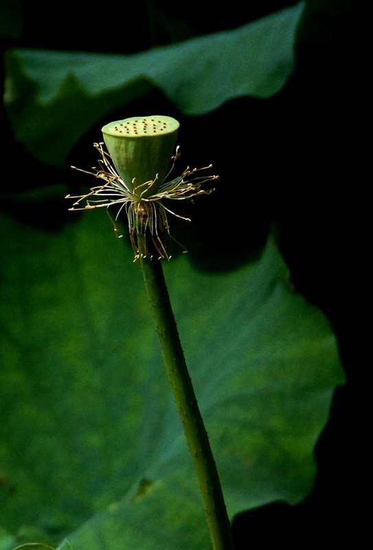 DSC00307_副本.jpg