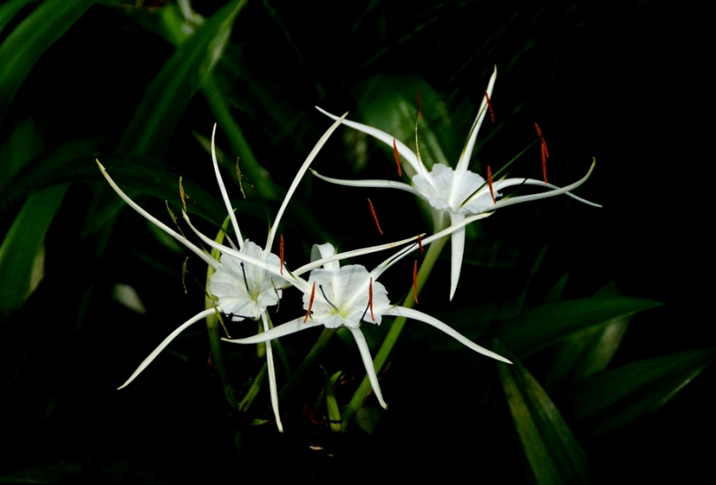 DSC00211_副本.jpg