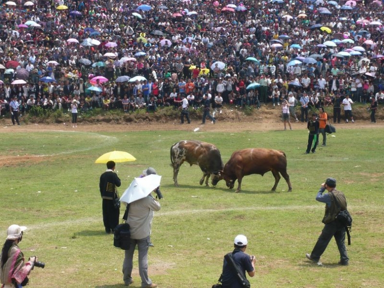 P1030733.JPG