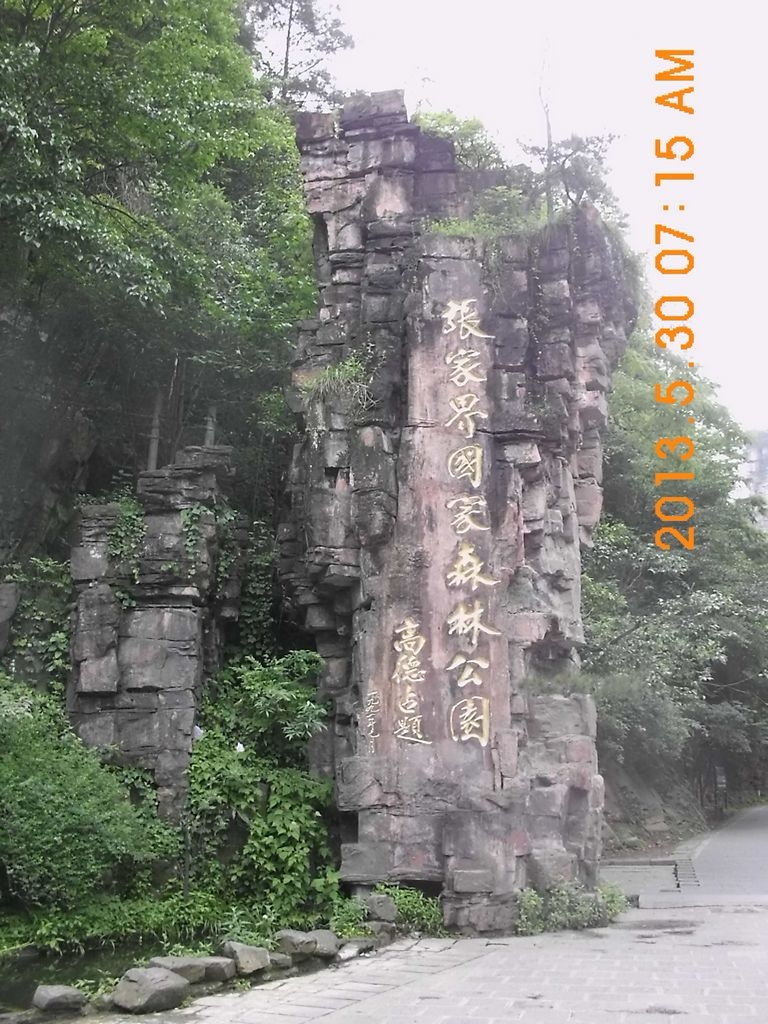 DSCI9696.JPG