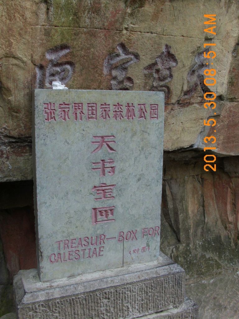 DSCI9765.JPG