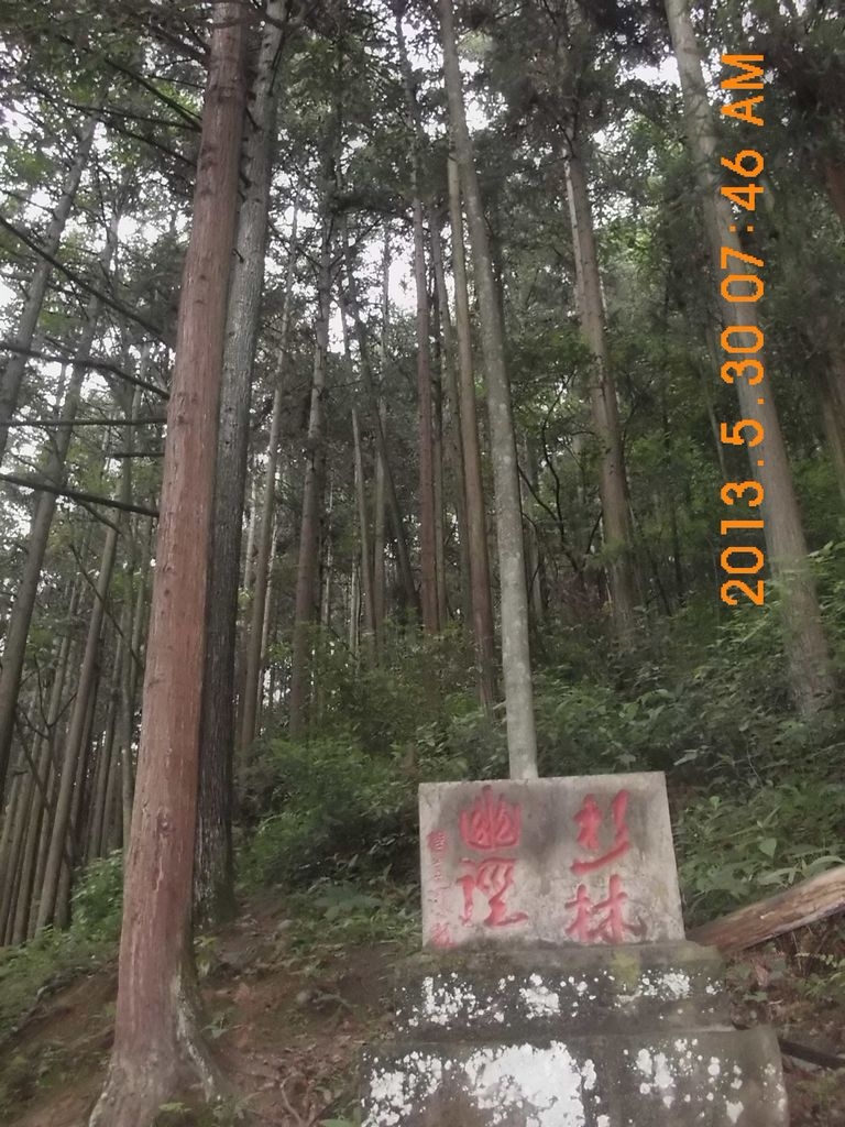DSCI9722.JPG