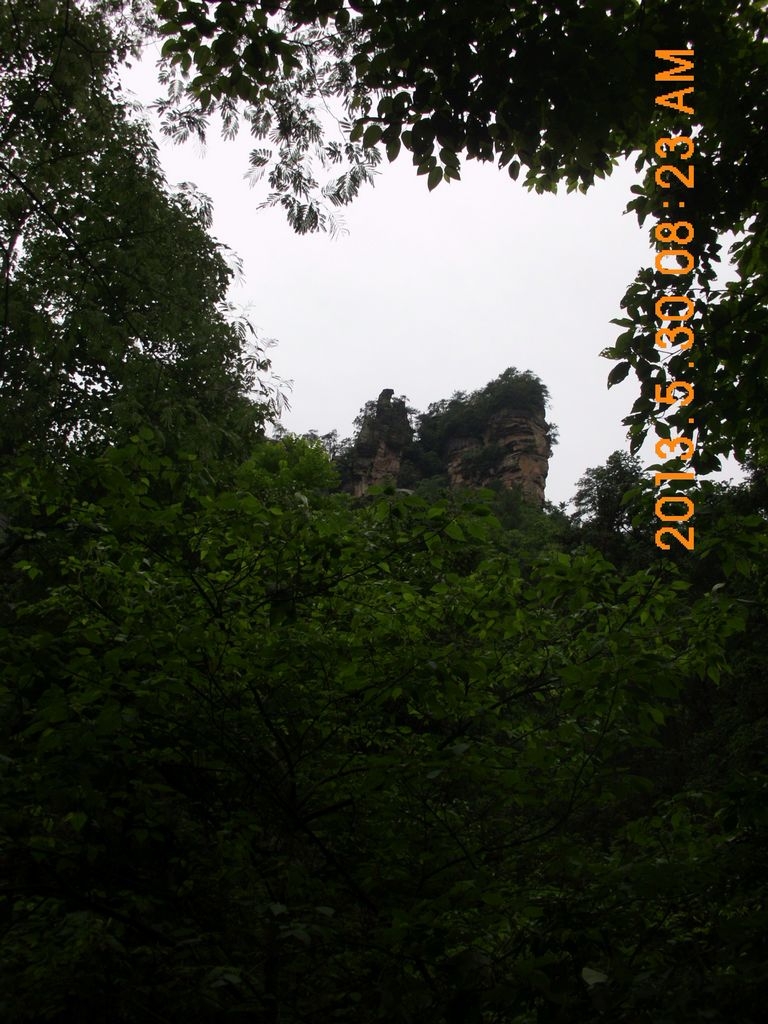 DSCI9737.JPG