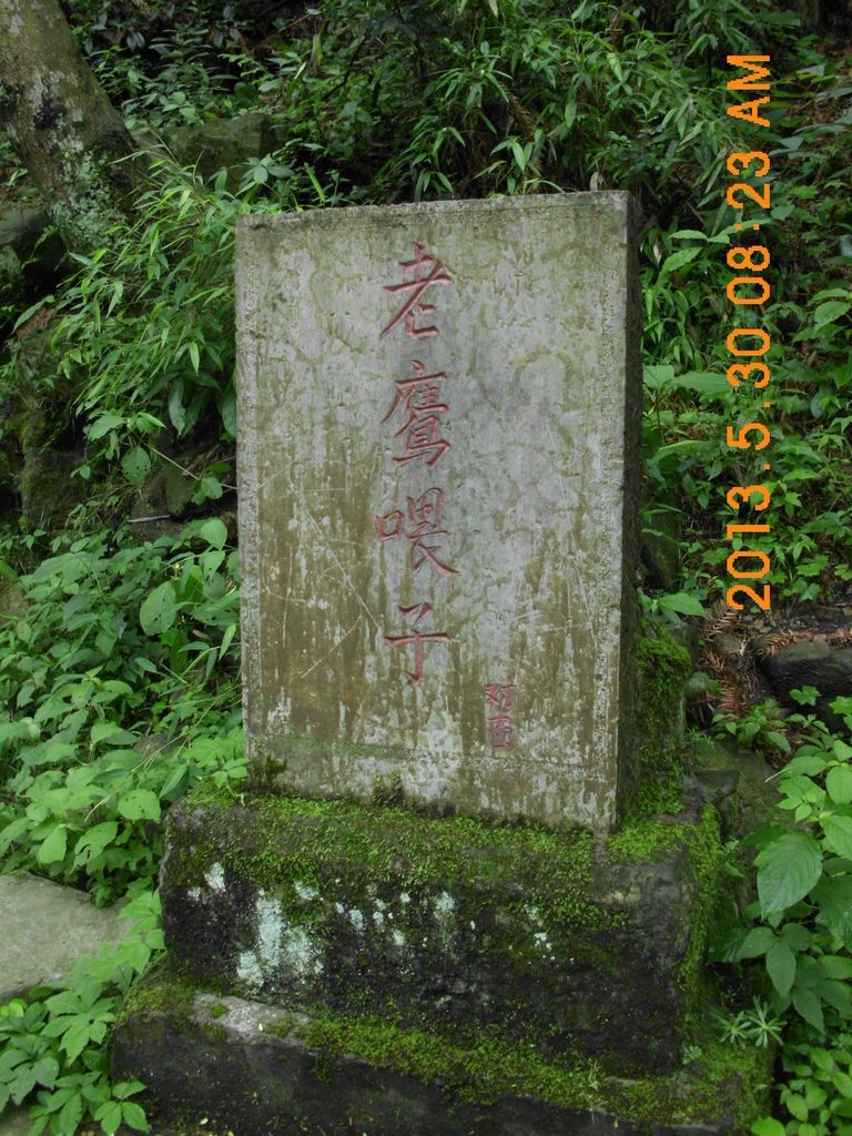 DSCI9738.JPG