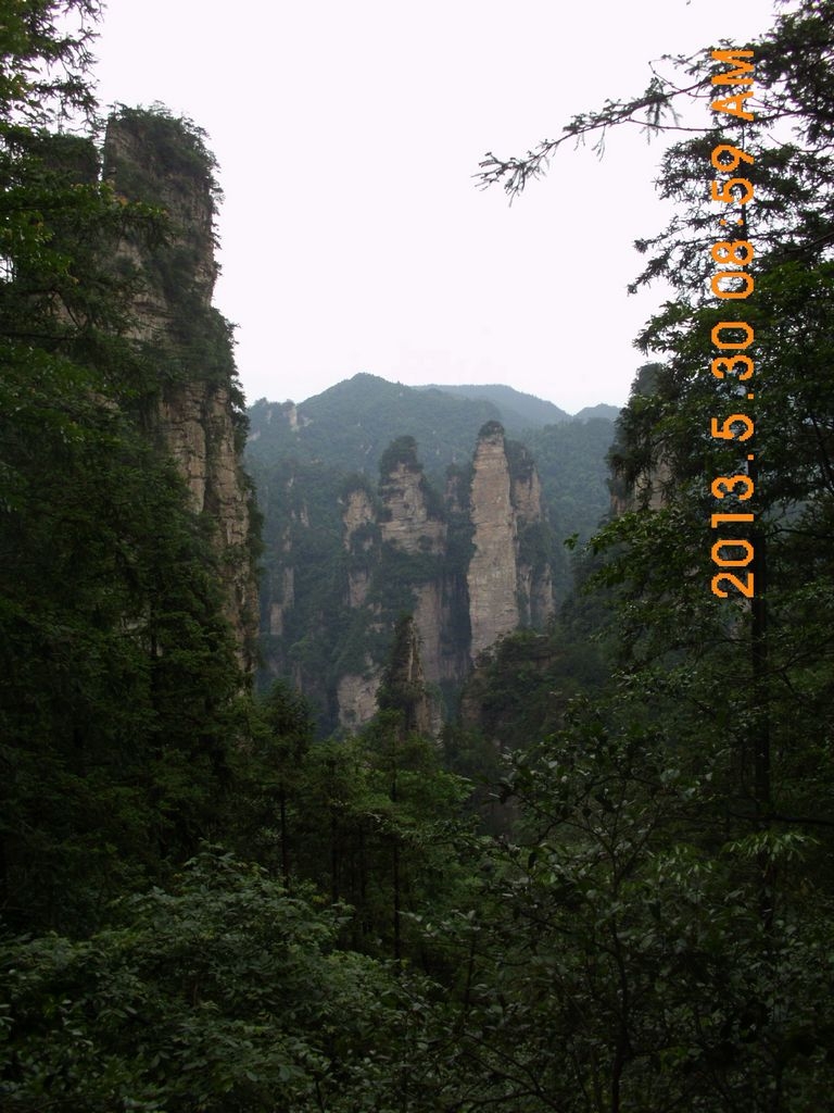 DSCI9771.JPG