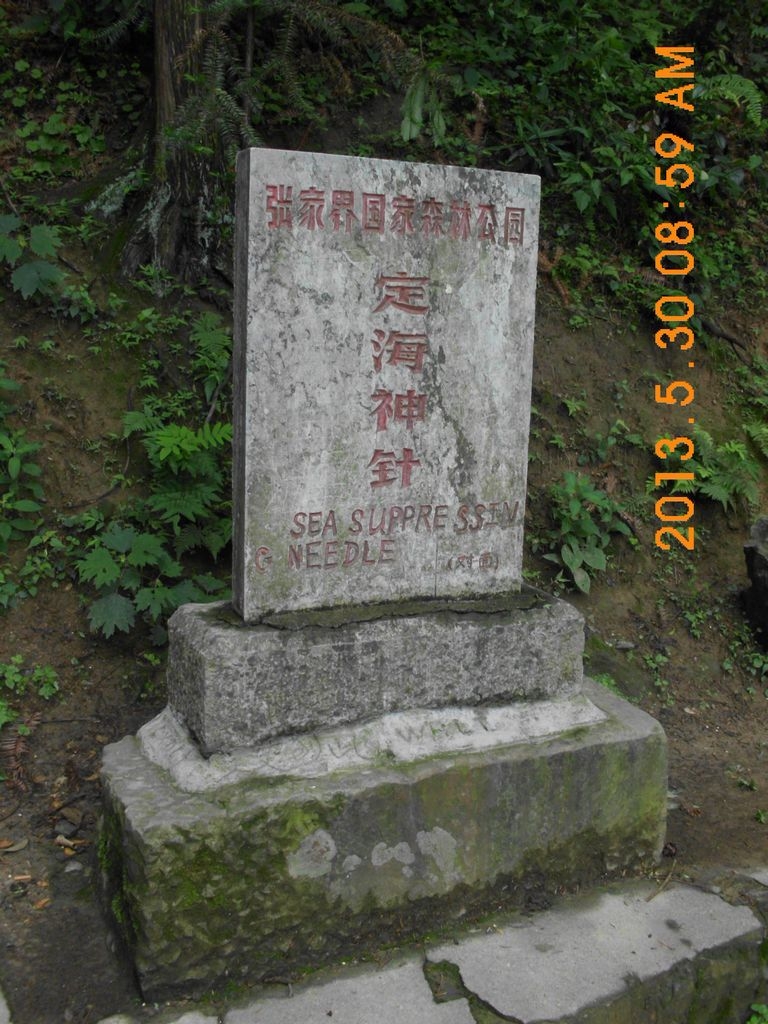 DSCI9772.JPG