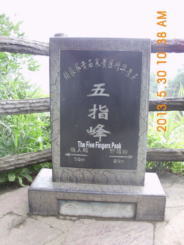 DSCI9843.JPG