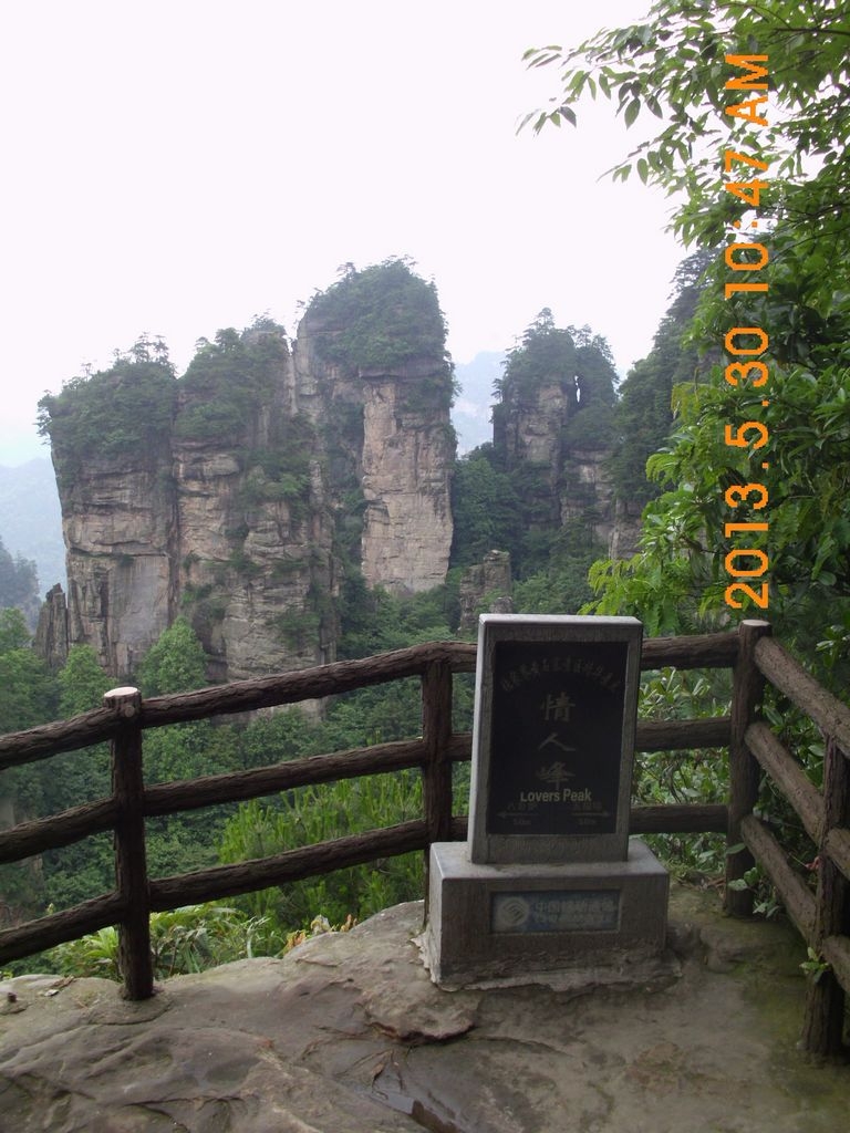 DSCI9847.JPG