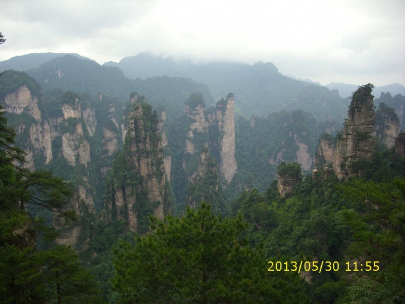 DSCI9894.JPG