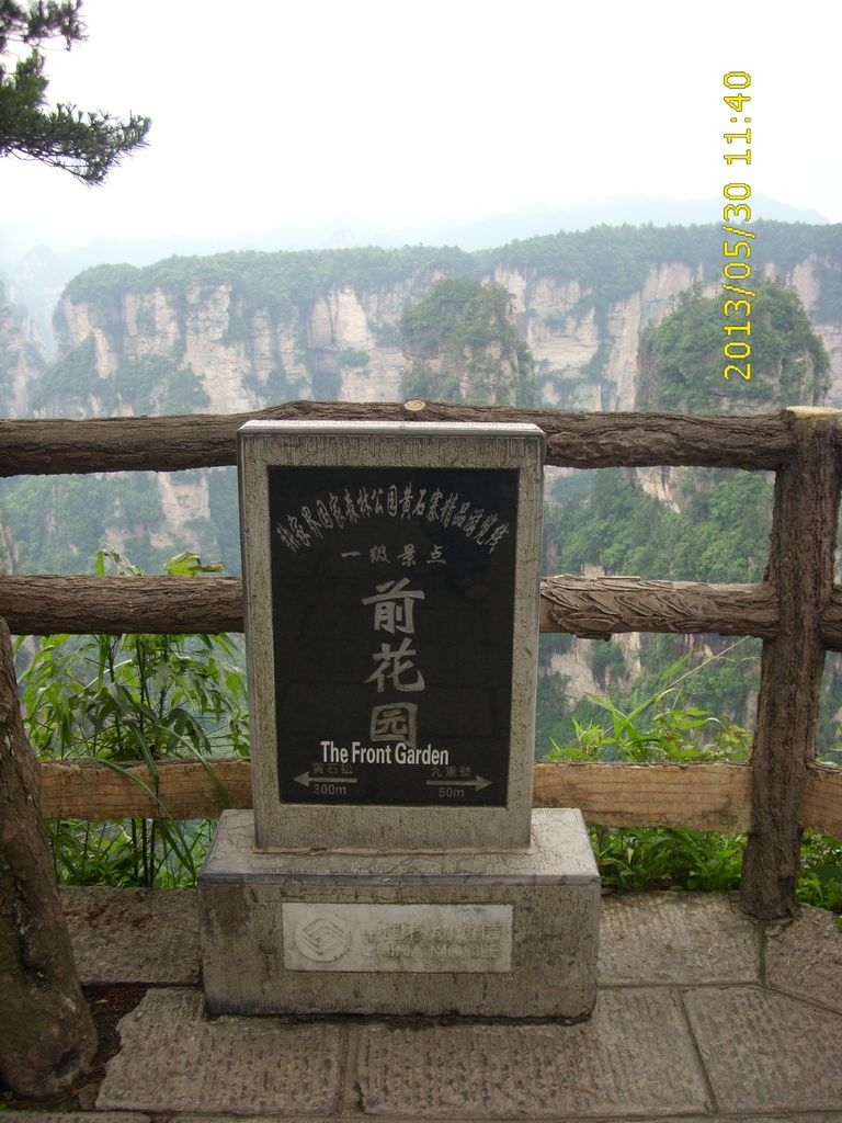 DSCI9878.JPG