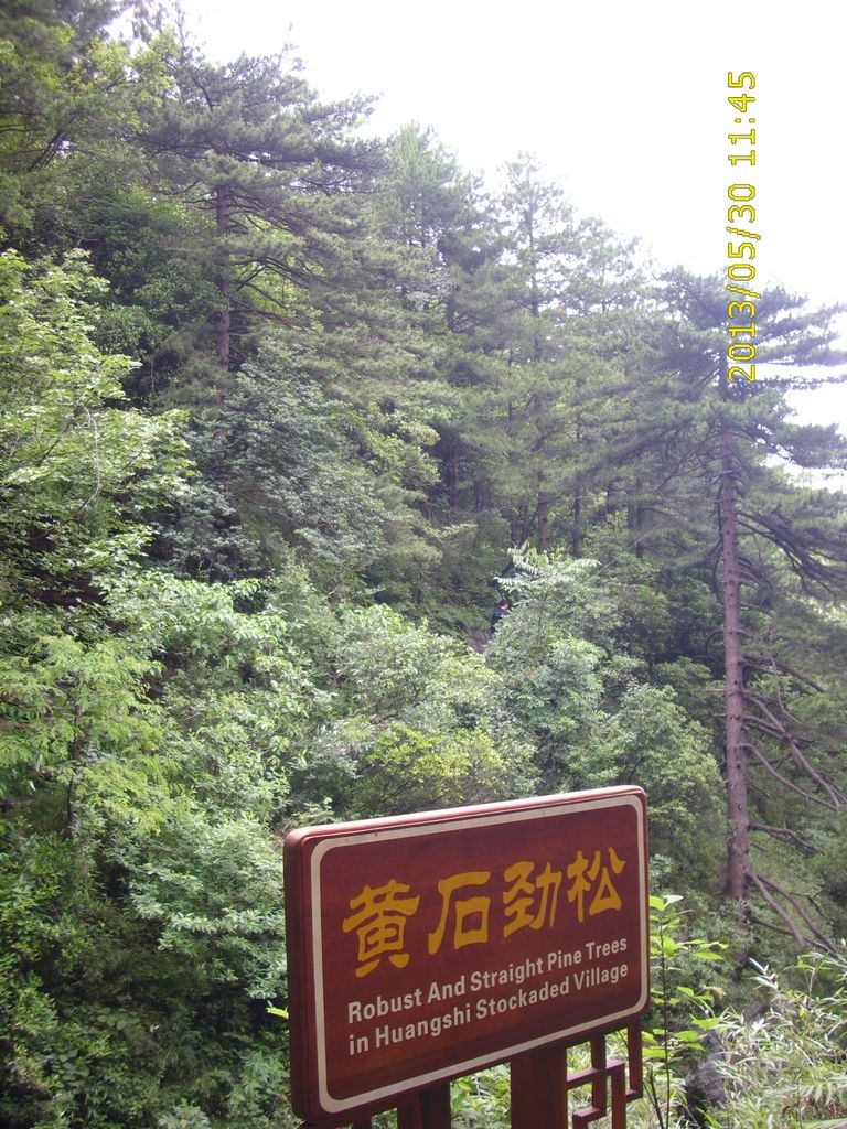 DSCI9884.JPG