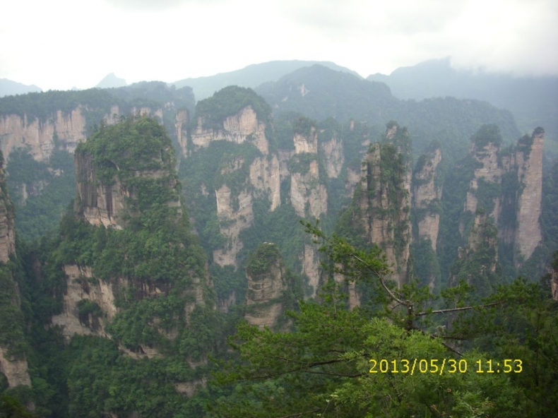 DSCI9893.JPG