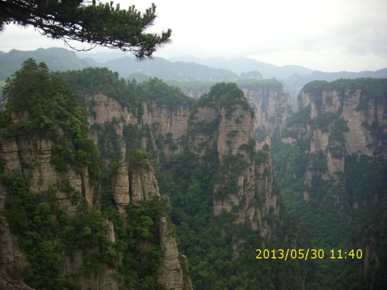 DSCI9881.JPG
