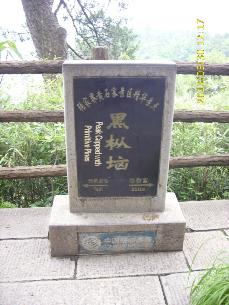 DSCI9896.JPG
