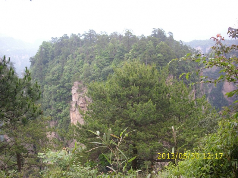 DSCI9897.JPG