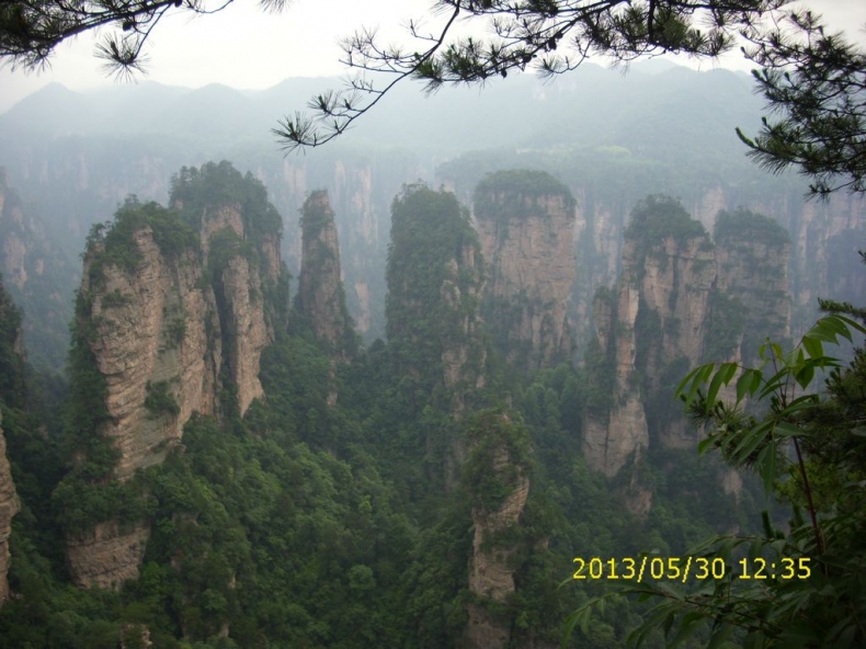 DSCI9906.JPG