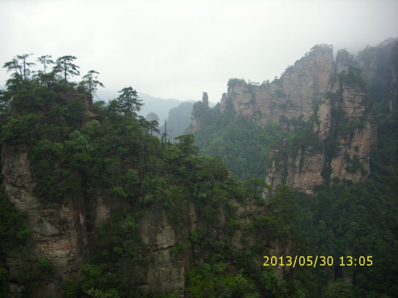 DSCI9919.JPG