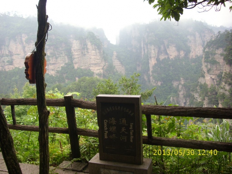DSCI9907.JPG