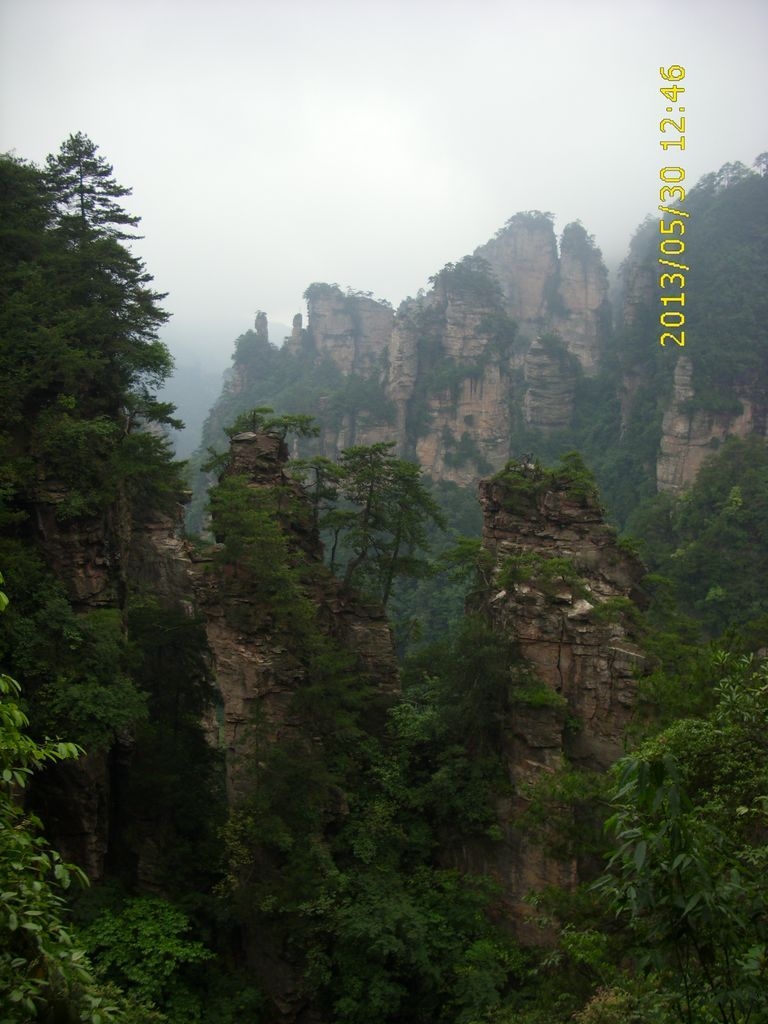DSCI9909.JPG