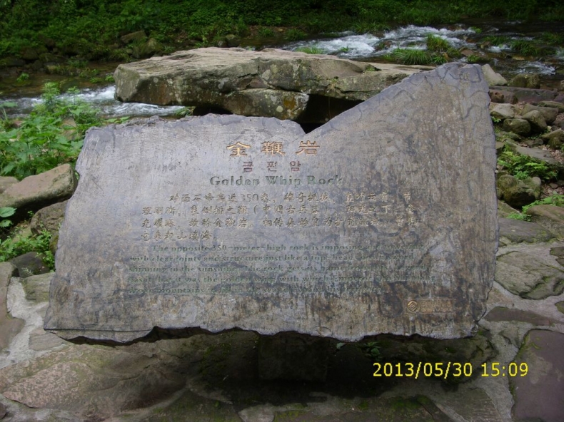 DSCI9950.JPG