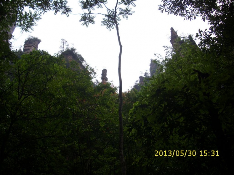 DSCI9966.JPG