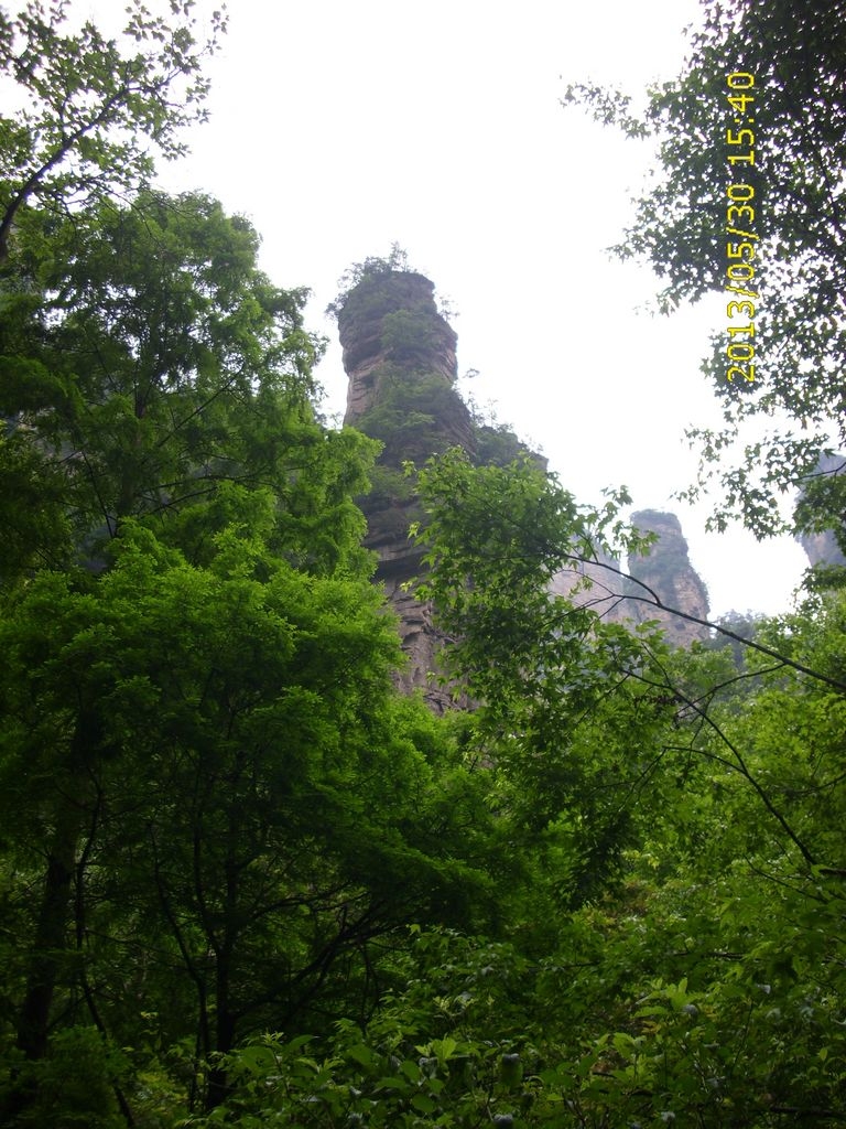 DSCI9971.JPG