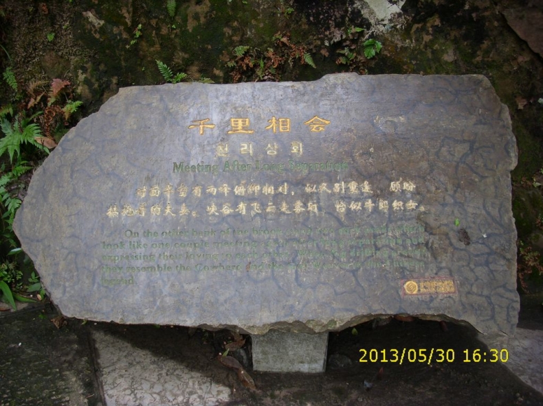 DSCI9995.JPG
