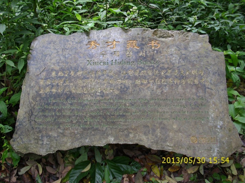 DSCI9979.JPG
