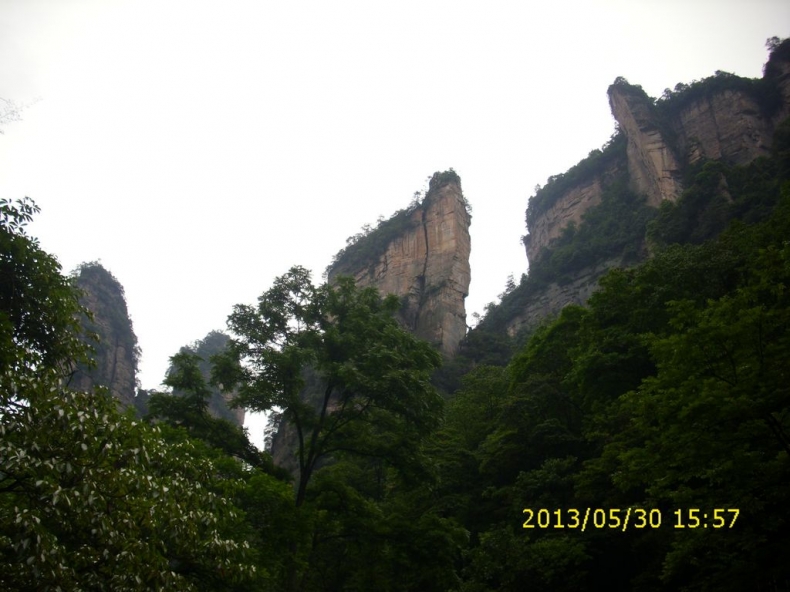 DSCI9982.JPG