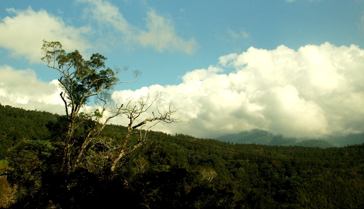 DSC03233_副本.jpg
