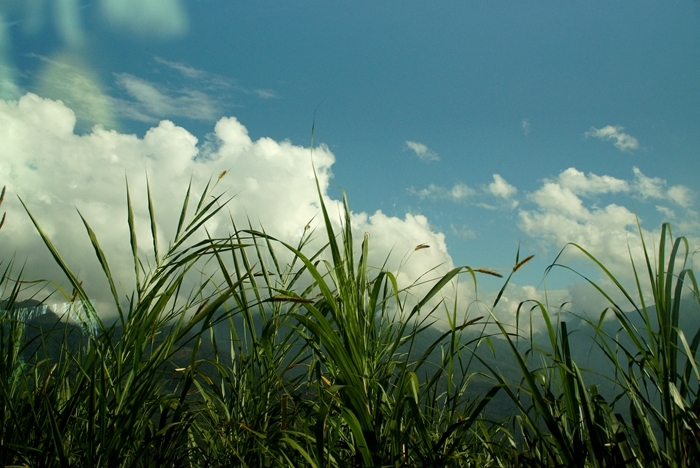 DSC03241_副本.jpg