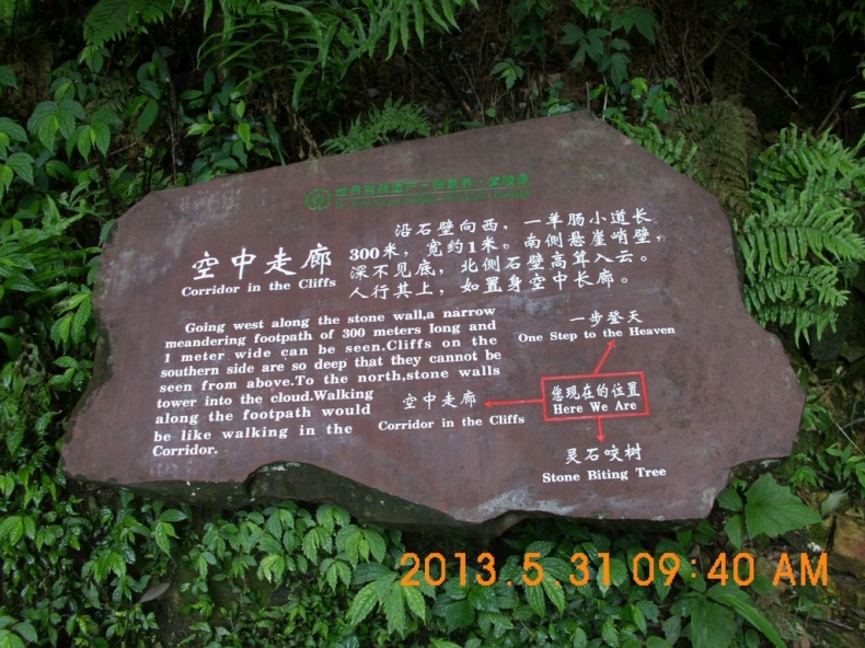 DSCI0141.JPG