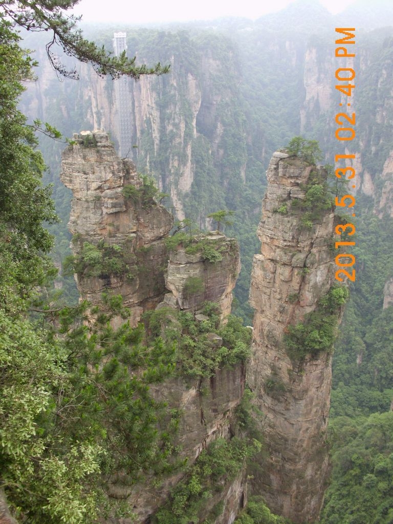 DSCI0238.JPG