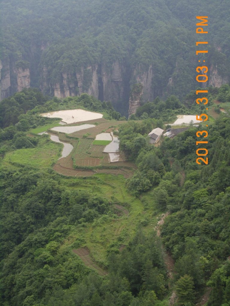 DSCI0258.JPG