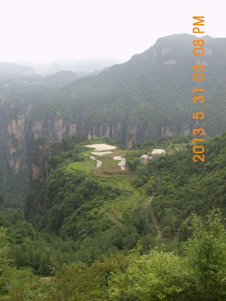 DSCI0251.JPG