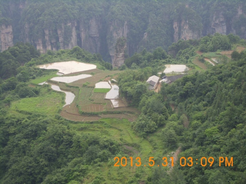 DSCI0254.JPG