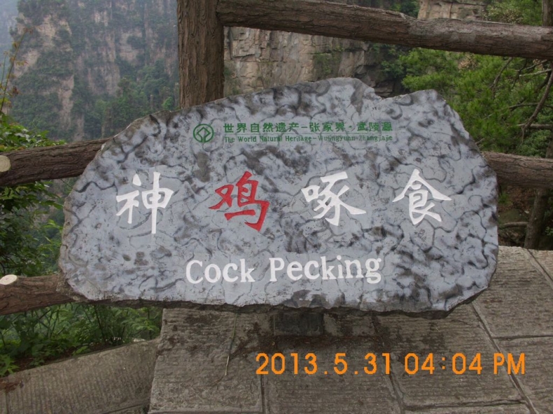 DSCI0262.JPG