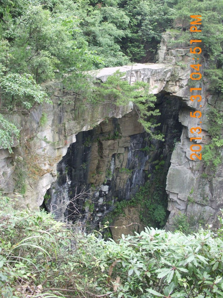 DSCI0290.JPG